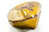 Polished Mookaite Jasper Specimen - Australia #314642-1
